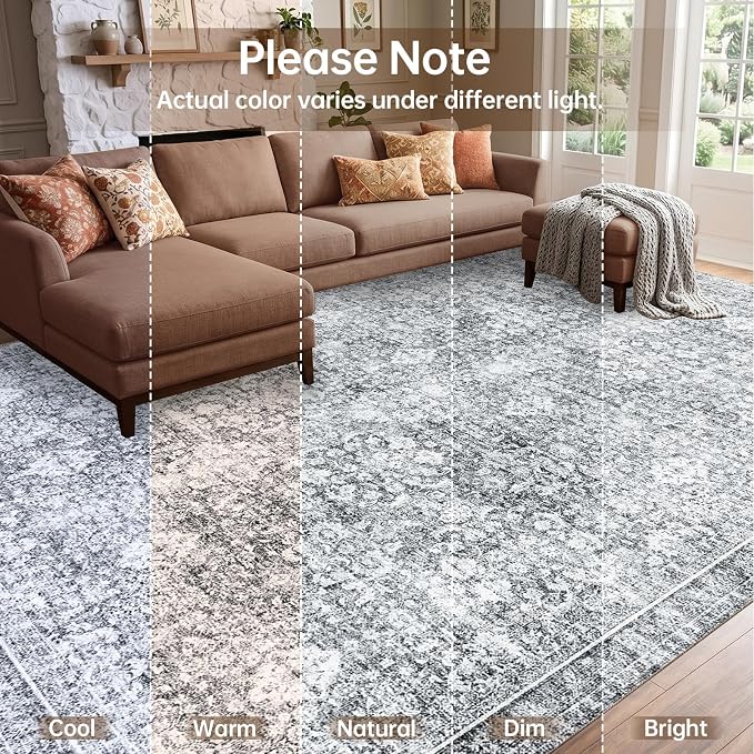 Sasttie 9x12 Area Rug, Ultra-Soft Washable Rug, Low Pile Foldable Thin Carpets with Non-Slip Backing, Skin-Friendly Stain Resistant Carpet for Living Room, Bedroom, Kitchen, Dorm, 9x12, Light Grey