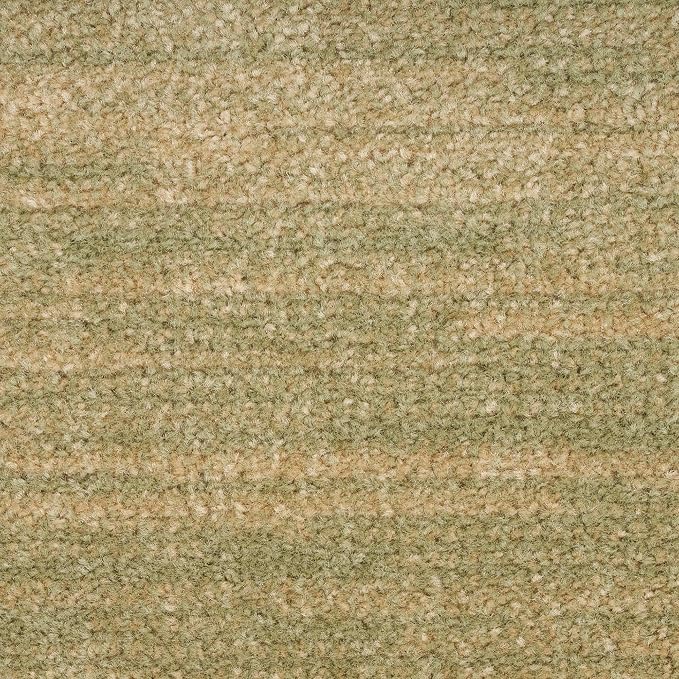 Nourison Home Nourison Essentials Green Gold 3' x 5' Area Rug - Easy Clean, Non Shedding, Bed Room, Living Room, Dining Room, Kitchen (3' x 5')