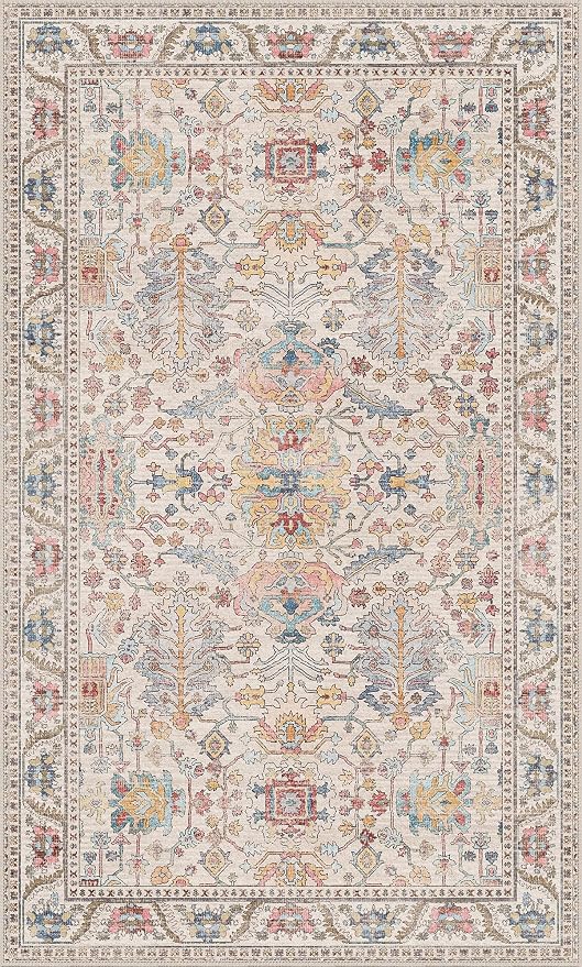 Bavni Area Rug 3x5, Non-Slip Washable Rugs for Living Room Office, Boho Distressed Printed Rug, Low Pile Foldable Decorative Carpet for Bedroom Kitchen Office, Retro Multi