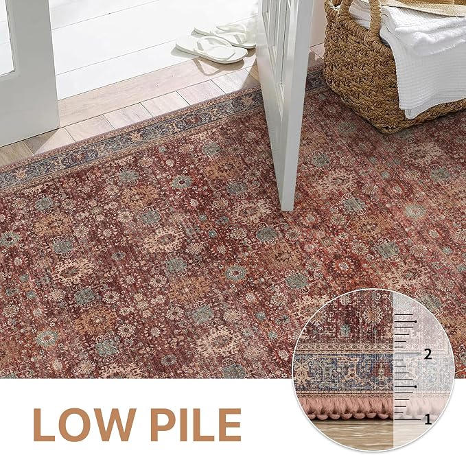 BESBLEE 6X9 Area Rugs Machine Washable Rugs for Living Room, Vintage Boho Large Rugs for Bedroom Dining Room, Non Slip Indoor Soft Distressed Lightweight Thin Low Pile Carpet, Red Brown