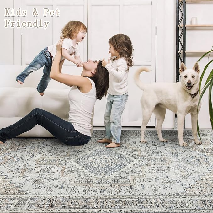 Machine Washable Rugs 5x7 Area Rugs for Living Room,Ultra Soft Low Pile Retro Rugs for Bedroom,Dining Room,Large Non Slip Carpet Vintage Distressed Accent Rug for Farmhouse Office Home Decor