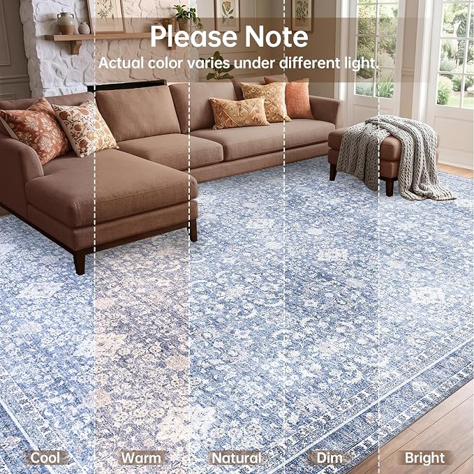 Sasttie 9x12 Area Rug, Ultra-Soft Washable Rug, Low Pile Foldable Thin Carpets with Non-Slip Backing, Skin-Friendly Stain Resistant Carpet for Living Room, Bedroom, Kitchen, Dorm, 9x12, Light Blue