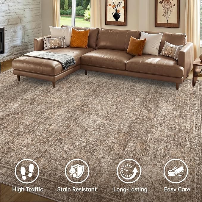 Sasttie 4x6 Area Rug, Ultra-Soft Washable Rug, Low Pile Foldable Thin Carpets with Non-Slip Backing, Skin-Friendly Stain Resistant Carpet for Living Room, Bedroom, Kitchen, Dorm, 4x6, Dark Brown