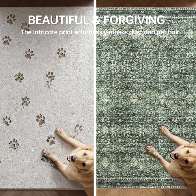 Sasttie 2x3 Rug, Ultra-Soft Washable Rug, Low Pile Foldable Thin Carpets with Non-Slip Backing, Skin-Friendly Stain Resistant Carpet for Living Room, Bedroom, Kitchen, Dorm, 2x3, Dark Green