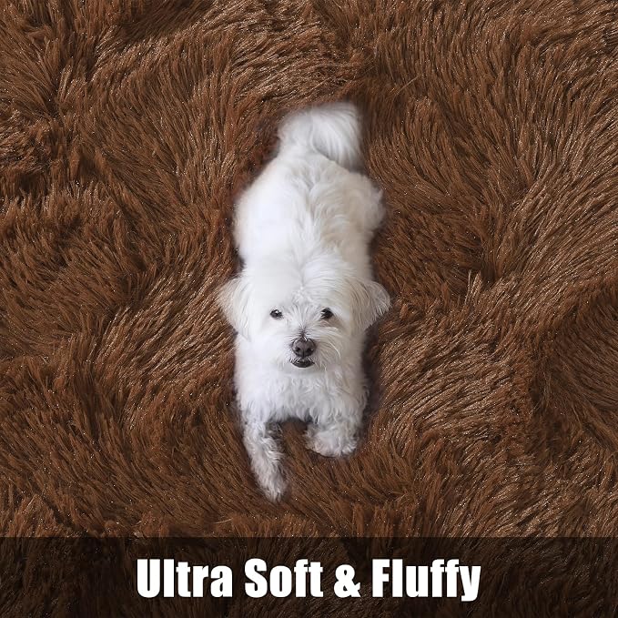 Fluffy Area Rugs for Bedroom Decor Aesthetic, 8x10 Large Brown Shag Rug with Non-Slip Backing for Living Room, Fuzzy Plush Carpet Washable Rug Modern Home Decor for Kids Nursery Boys Room