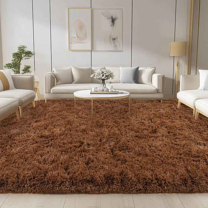 Brown Rug for Living Room Bedroom, 5x7 Fuzzy Fluffy Carpet | Soft and Comfy, Fuzzy Carpet, Shag Area Rugs for Indoor Floor, Nursery and Kids Room, Girls, Boys Dorm Home Decor, Non Slip