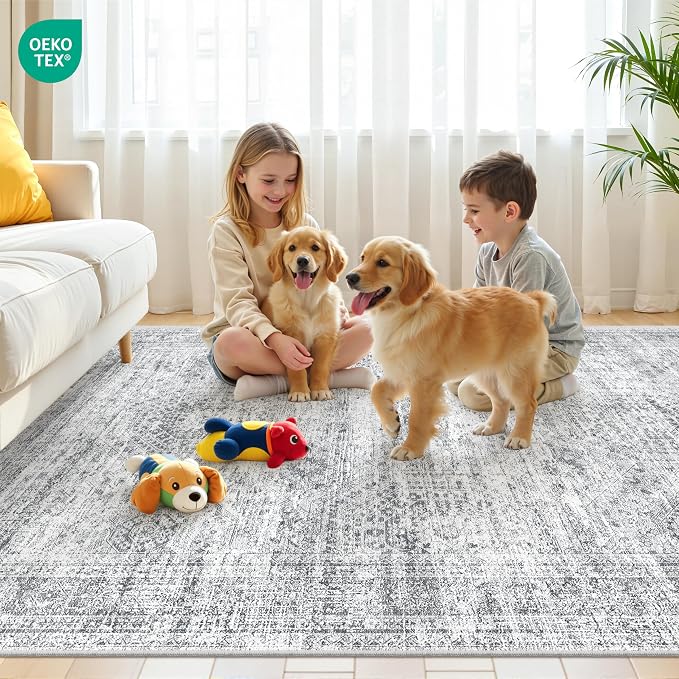 3x5 Rug for Entryway,Washable Area Rug,Grey | Small Rug for Kitchen,Hallway,Bedroom,Living Room,Dining Room,Thin,Soft, Neutral Rug,Stain Resistant Indoor Carpet,Non Slip