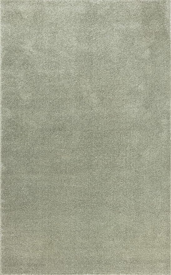 JONATHAN Y Haze Solid Low-Pile Green Indoor Area Rug 10x14, Coastal,Bohemian,Minimalist,Classic, Easy-Cleaning for Living Room,Bedroom,Kitchen,Pet Friendly,Non-Shedding (SEU100O-14)