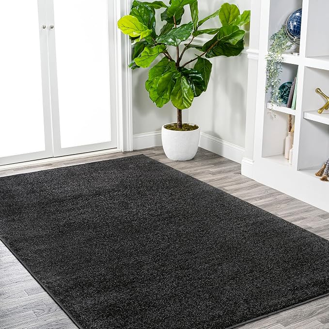 JONATHAN Y Haze Solid Low-Pile Black Indoor Area Rug 12x15, Coastal,Bohemian,Minimalist,Classic, Easy-Cleaning for Living Room,Bedroom,Kitchen,Pet Friendly,Non-Shedding (SEU100I-15)